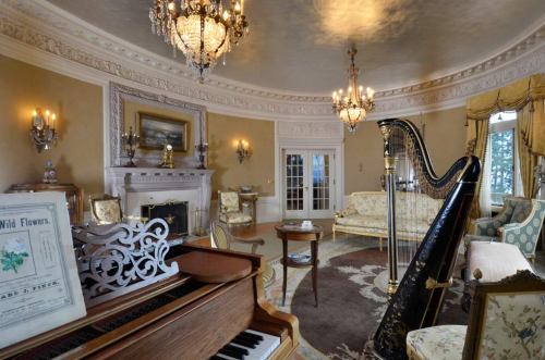 Elegant room featuring a grand piano, harp, ornate chandeliers, and classic furnishings with a cozy fireplace.