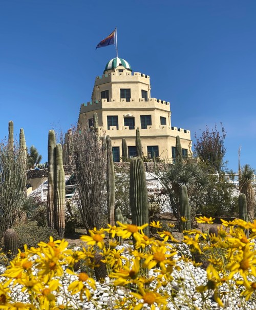 A colorful building with a dome and flag, surrounded by cacti and vibrant yellow flowers under a clear blue sky.