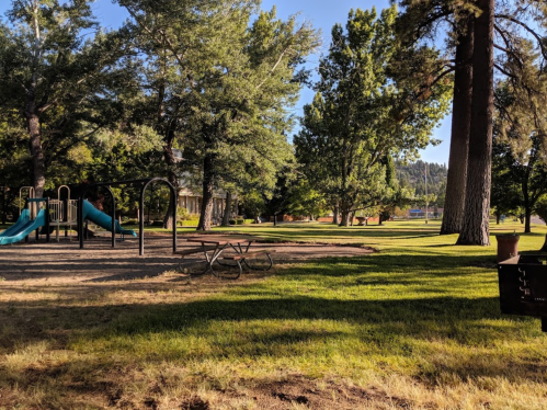 A sunny park scene featuring a playground with a slide, picnic tables, and tall trees in the background.