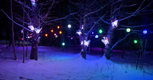 Colorful lights adorn snow-covered trees in a dark, wintry landscape, creating a festive atmosphere.
