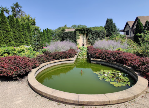 A circular pond surrounded by lush greenery and colorful plants under a clear blue sky.
