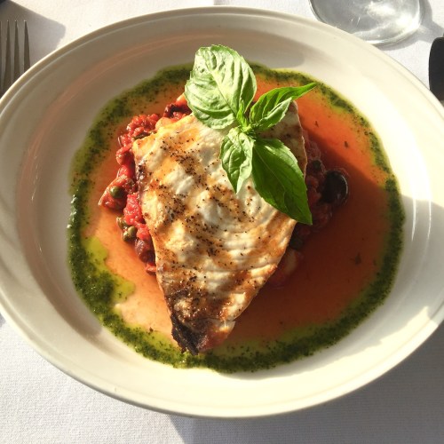 A plate of grilled fish atop a bed of tomatoes and capers, garnished with fresh basil and drizzled with green sauce.
