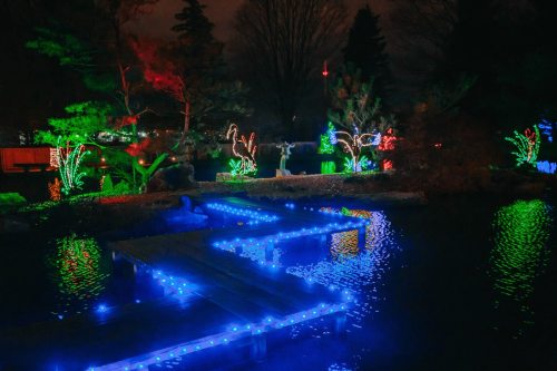 A serene night scene featuring a pond illuminated with colorful holiday lights and decorated trees.