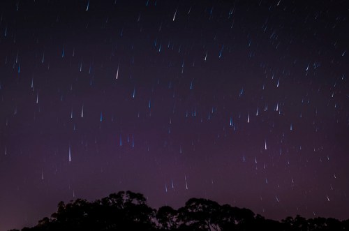 A night sky filled with streaks of light from stars, creating a beautiful star trail effect above silhouetted trees.