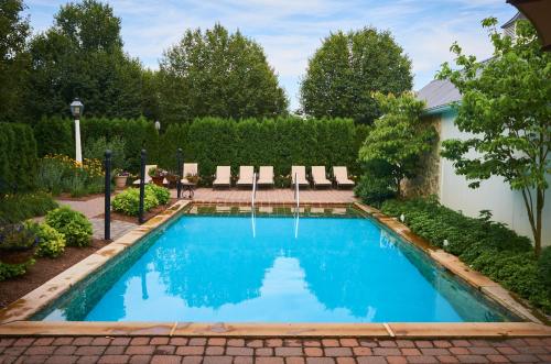 A serene outdoor pool surrounded by lush greenery and lounge chairs, set against a clear blue sky.
