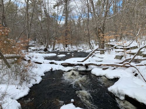 A snowy landscape with a flowing river surrounded by trees, creating a serene winter scene.