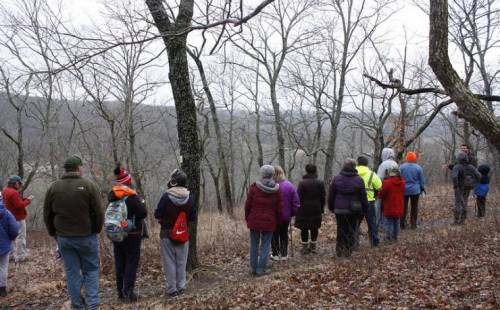 A group of people hiking through a bare, wooded area on a cloudy day, with trees and a distant view in the background.