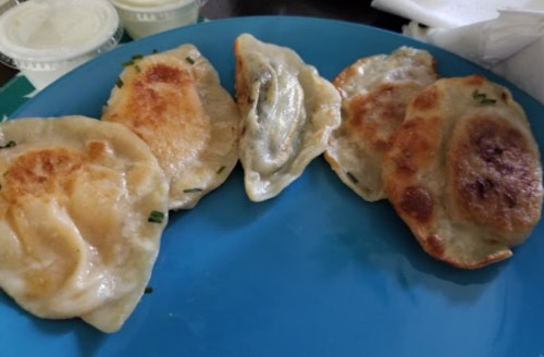 A blue plate with several golden-brown dumplings, some crispy and others soft, served with small containers of sauce.