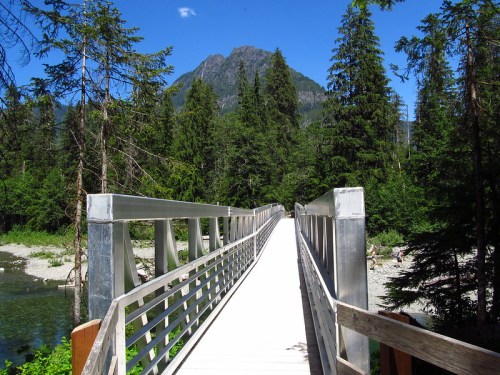 A wooden bridge leads through a lush forest, with a mountain peak visible in the background under a clear blue sky.