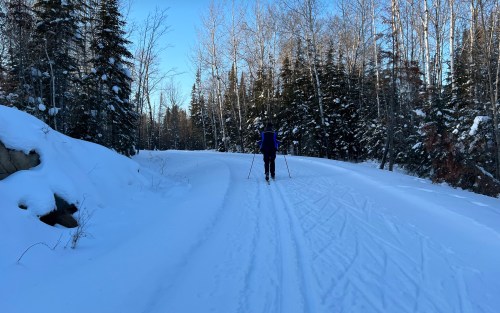 A person skiing on a snowy trail surrounded by trees under a clear blue sky.