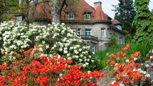 A historic house surrounded by vibrant flower gardens in bloom, featuring white and orange azaleas.