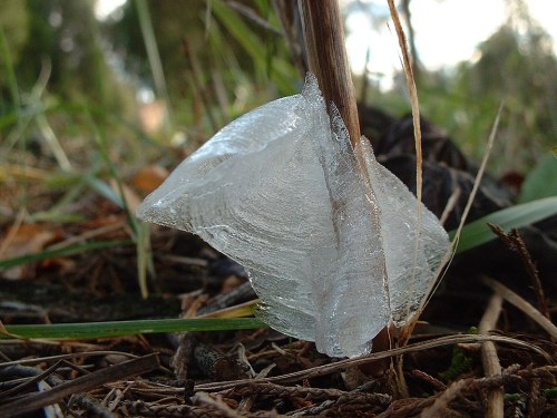 A close-up of a translucent ice formation resting on grass, with a blurred natural background.