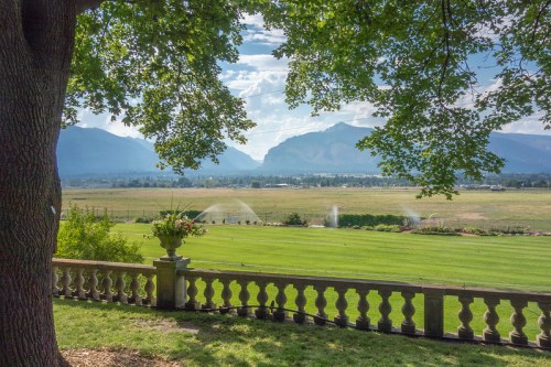 A scenic view of green fields and mountains under a blue sky, framed by trees and a decorative stone railing.