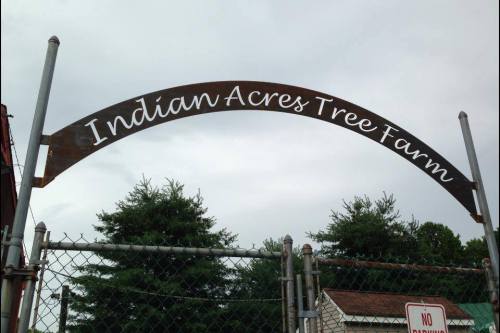 Sign for Indian Acres Tree Farm, arching over a fenced entrance with trees in the background.