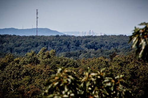 A distant city skyline visible through a lush green forest, with a cell tower in the foreground.