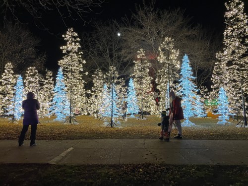A festive scene with illuminated trees in blue and white lights, people enjoying the display at night.