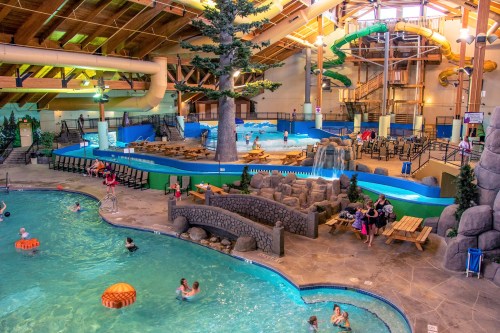 Indoor water park featuring pools, slides, and a large tree, with families enjoying the water and seating areas.