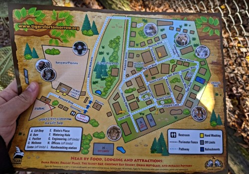A hand holding a colorful map of a wildlife park, showing attractions, facilities, and animal exhibits.