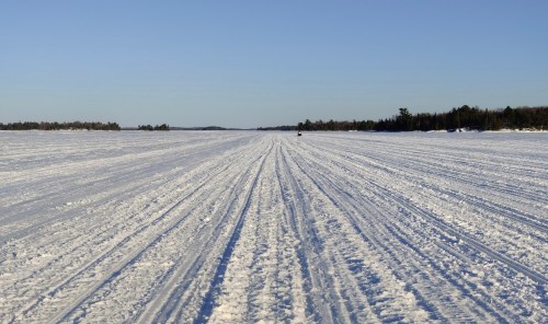 A snowy landscape with parallel tracks leading into the distance, surrounded by trees under a clear blue sky.