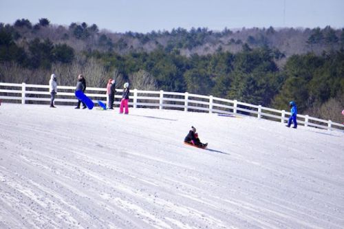 People sledding down a snowy hill, with a white fence and trees in the background on a clear winter day.