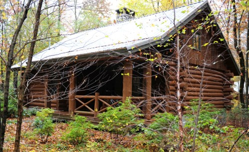 A rustic log cabin surrounded by trees and autumn foliage, with a porch and a sloped roof.