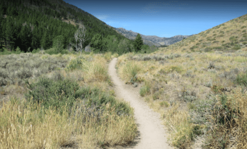 A winding dirt path through a grassy landscape, surrounded by hills and trees under a clear blue sky.