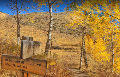 A wooden signpost points to Old Adams Gulch, surrounded by golden autumn foliage and a hilly landscape.