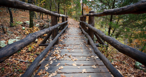 A wooden bridge surrounded by trees and fallen leaves, leading into a serene forest path.