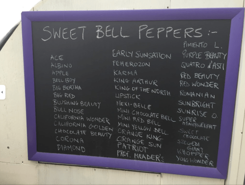 A chalkboard listing various types of sweet bell peppers with their names and descriptions.