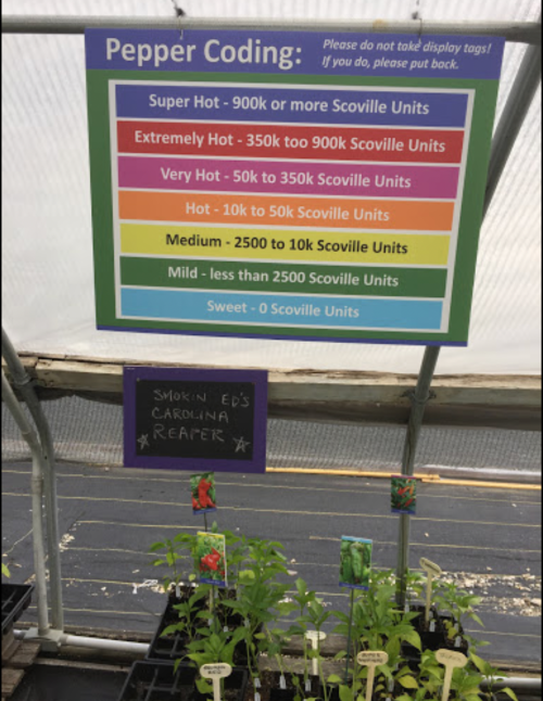 A sign displaying pepper heat levels, from "Super Hot" to "Sweet," with plants labeled below in a greenhouse setting.