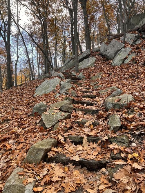 A winding stone staircase surrounded by autumn leaves and trees on a rocky hillside.