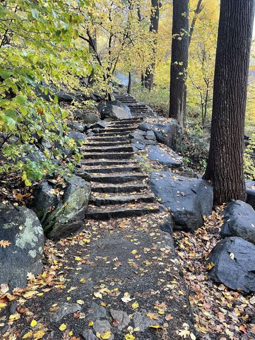 A stone staircase winds through a forest with autumn leaves and large rocks, surrounded by vibrant yellow and green trees.