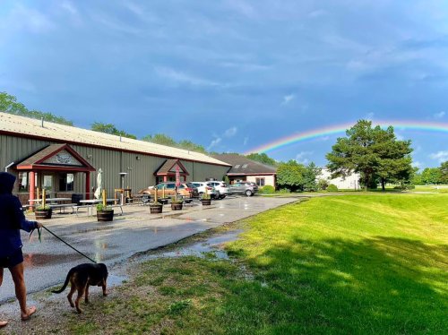 A person walks a dog along a wet path, with a rainbow arching over a grassy area and buildings in the background.