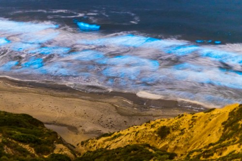 Bioluminescent waves glow blue along a sandy beach, with cliffs in the foreground under a twilight sky.