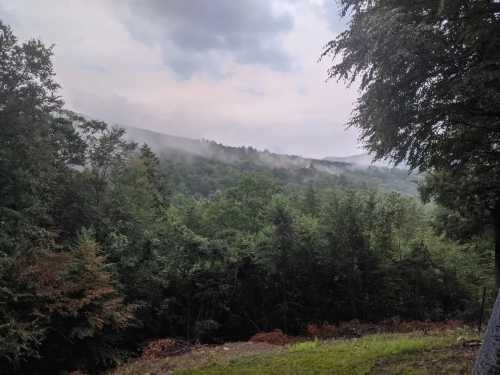 A misty landscape of green hills and trees under a cloudy sky, creating a serene, natural atmosphere.