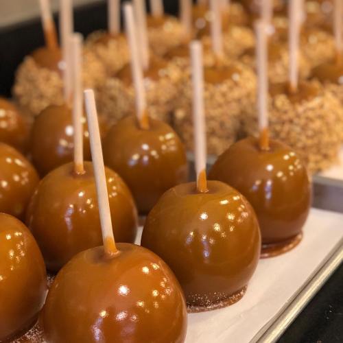 A close-up of shiny caramel apples on a tray, some coated in crushed nuts, ready to be enjoyed.