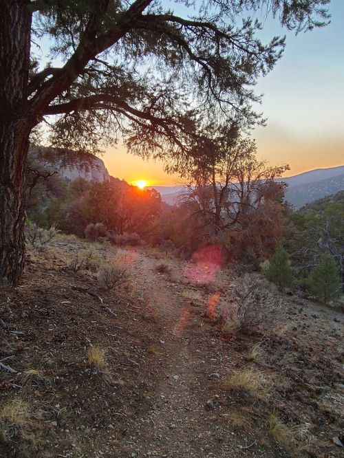 A sun sets behind a mountain, casting warm light over a forested path lined with trees and shrubs.