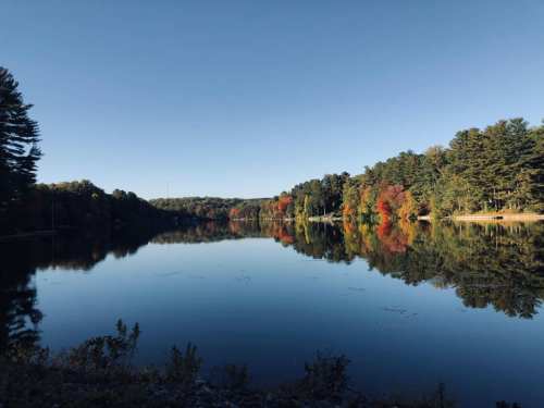 A serene lake surrounded by trees, reflecting autumn colors under a clear blue sky.
