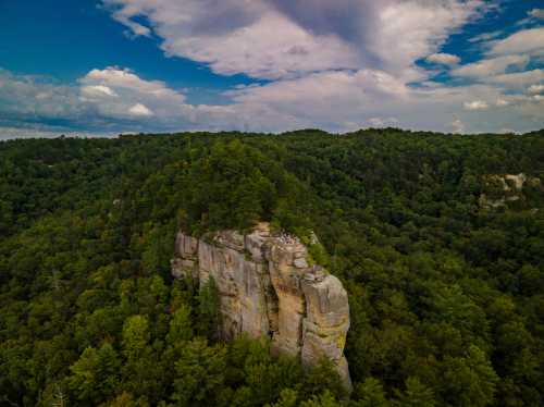 Aerial view of a rocky cliff surrounded by lush green trees under a partly cloudy sky.