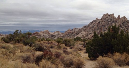 A rocky landscape with desert vegetation under a cloudy sky, featuring rugged mountains in the background.