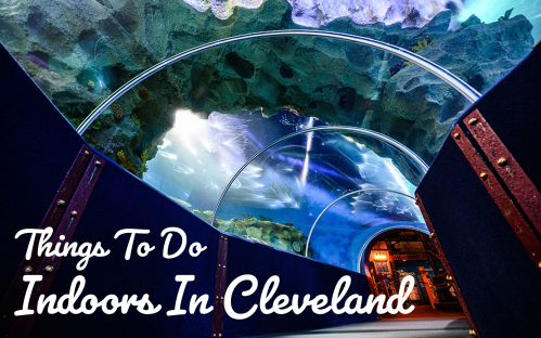 A colorful underwater tunnel with a curved glass ceiling, showcasing marine life in an aquarium setting.