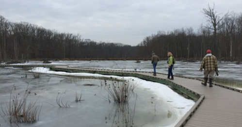 Three people walk along a wooden path beside a frozen wetland, surrounded by bare trees under a cloudy sky.