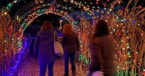 Three people walk through a lit archway made of branches and colorful lights at night.