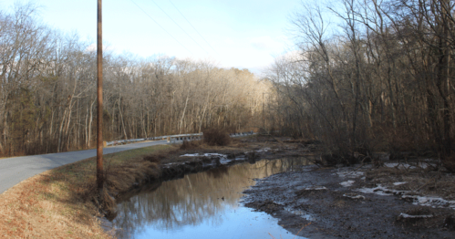 A serene landscape featuring a winding road beside a calm, muddy creek surrounded by bare trees.