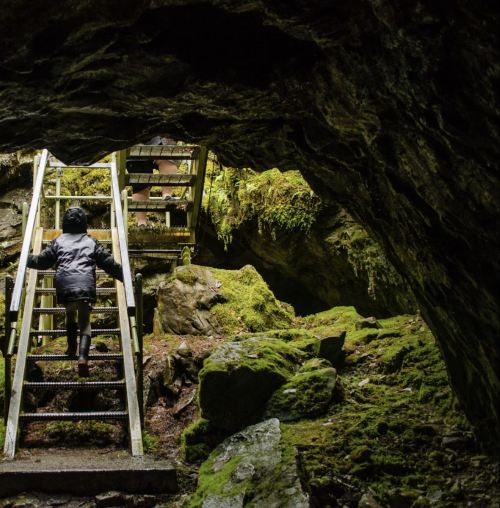 A child climbs wooden stairs in a mossy cave, surrounded by rocky walls and greenery.