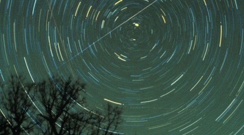 A long-exposure photo of star trails circling a point in the night sky, with silhouetted trees in the foreground.
