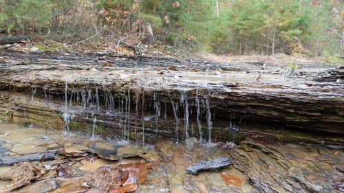 A small waterfall cascades over layered rocks in a forested area, surrounded by fallen leaves and greenery.