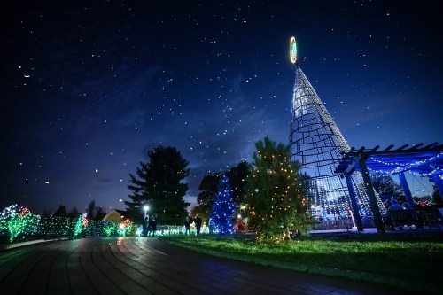 A brightly lit Christmas tree stands under a starry night sky, surrounded by colorful holiday lights and greenery.
