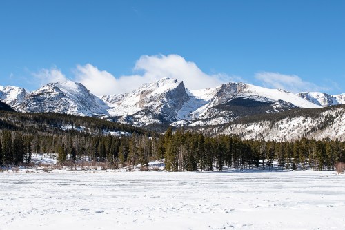 Snow-covered mountains rise against a clear blue sky, with a forest of evergreen trees in the foreground.