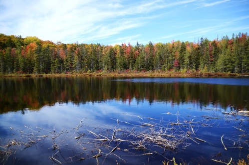 A serene lake reflecting colorful autumn trees under a clear blue sky.